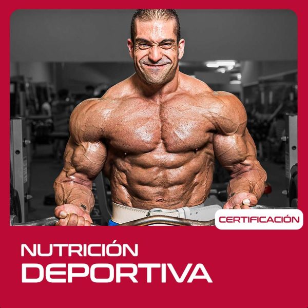 Certificación de nutrición deportiva | Raúl Carrasco